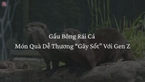 gấu bông rái cá
